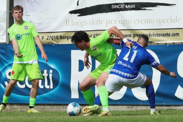 Pavia-VCBG (3-0): le immagini dell’ultima trasferta dell’anno