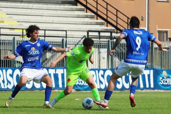 Pavia-VCBG (3-0): le immagini dell’ultima trasferta dell’anno