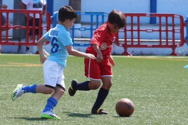 Primi Calci 2017-2018: le immagini del Torneo Cislacchi a Romano di Lombardia