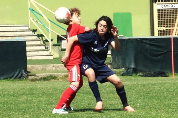 Esordienti 2014: le immagini del torneo a Cologno al Serio