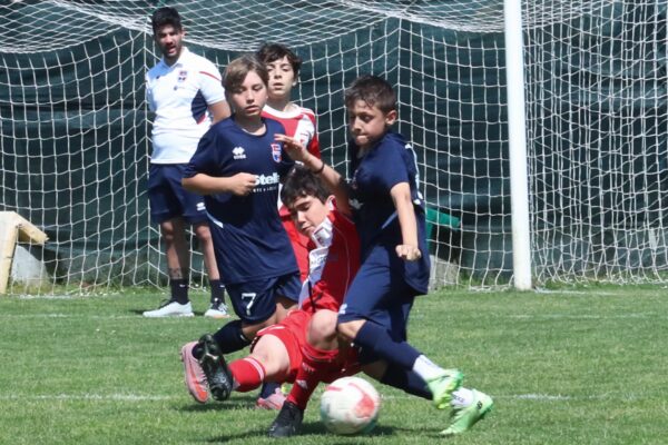 Esordienti 2014: le immagini del torneo a Cologno al Serio