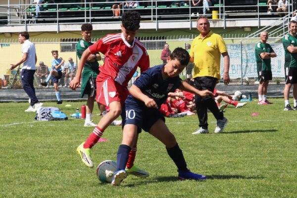 Esordienti 2014: le immagini del torneo a Cologno al Serio