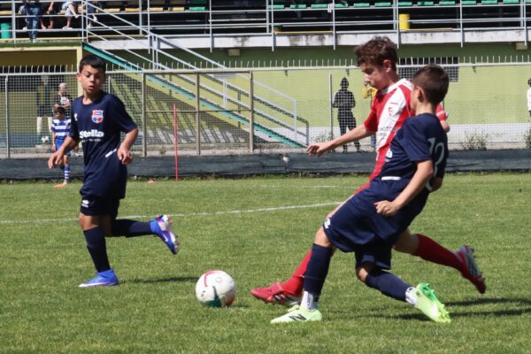Esordienti 2014: le immagini del torneo a Cologno al Serio