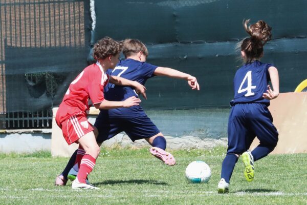 Esordienti 2014: le immagini del torneo a Cologno al Serio