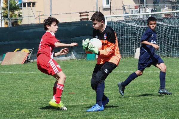 Esordienti 2014: le immagini del torneo a Cologno al Serio