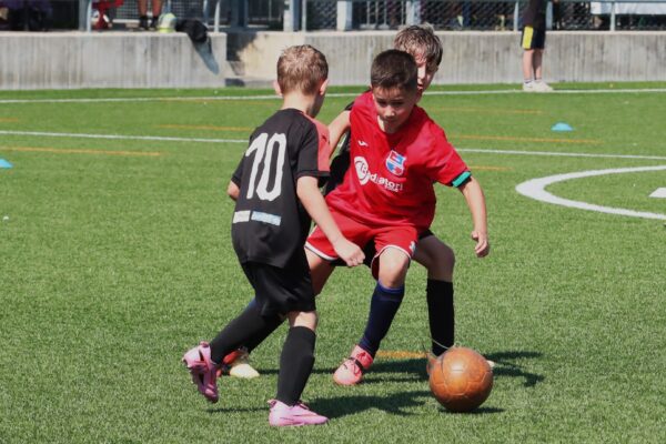 Primi Calci 2017-2018: le immagini del Torneo Cislacchi a Romano di Lombardia