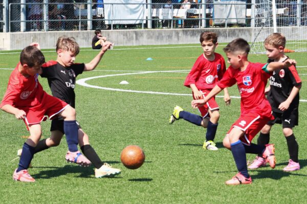 Primi Calci 2017-2018: le immagini del Torneo Cislacchi a Romano di Lombardia