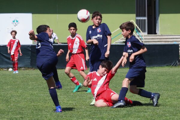 Esordienti 2014: le immagini del torneo a Cologno al Serio