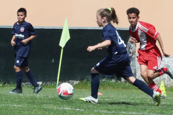 Esordienti 2014: le immagini del torneo a Cologno al Serio