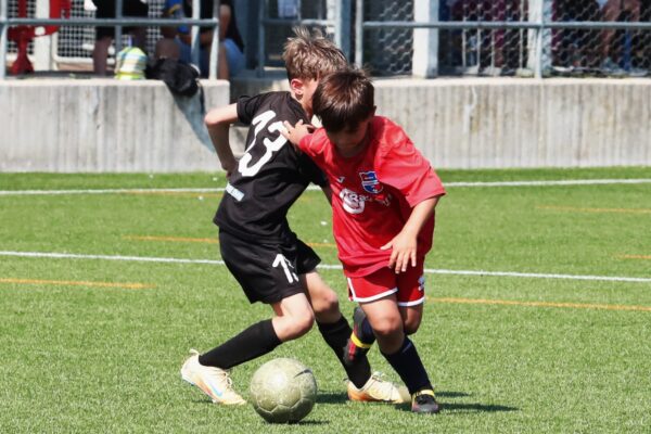 Primi Calci 2017-2018: le immagini del Torneo Cislacchi a Romano di Lombardia