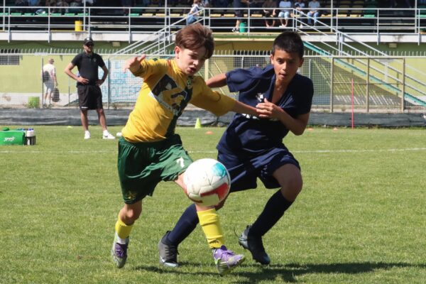 Esordienti 2014: le immagini del torneo a Cologno al Serio