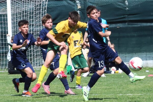 Esordienti 2014: le immagini del torneo a Cologno al Serio