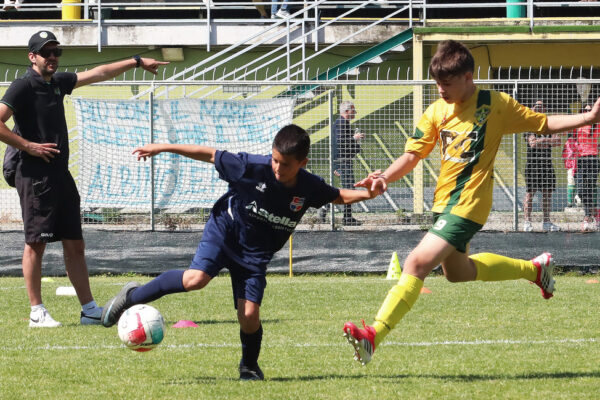 Esordienti 2014: le immagini del torneo a Cologno al Serio