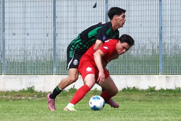 VCBG-Castellanzese (1-1): le immagini dell’ultima di campionato PRIMA PARTE