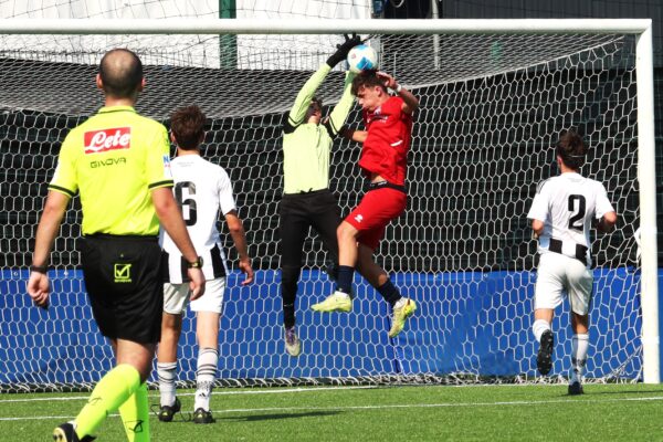 Giovanissimi Elite U15: le immagini della vittoria nel girone nazionale contro la Sisport Torino