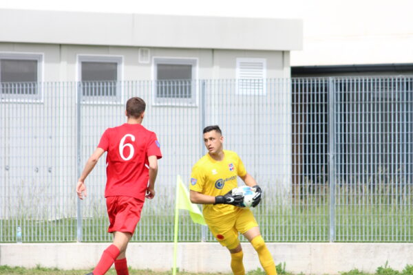 VCBG-Castellanzese (1-1): le immagini dell’ultima di campionato SECONDA PARTE