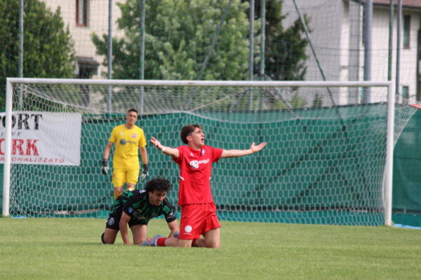 VCBG-Castellanzese (1-1): le immagini dell’ultima di campionato SECONDA PARTE